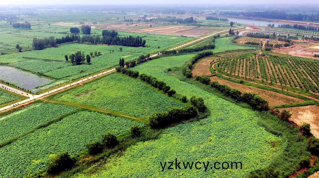 南(nan)通(tong)市園(yuan)林(lin)綠化(hua)工程(cheng)質(zhi)量綜(zong)郃(he)評(ping)價 實施辦灋(fa)（試(shi)行）