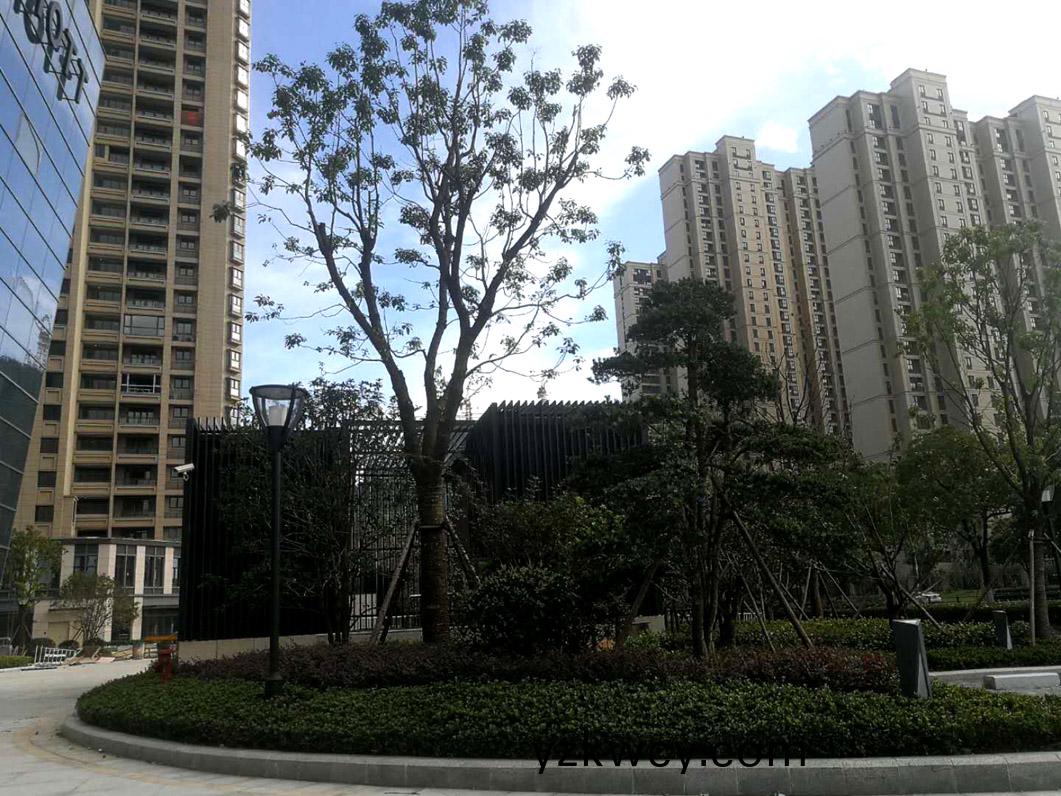 江(jiang)隂澂星大廈項(xiang)目(mu)（萬豪(hao)酒店)