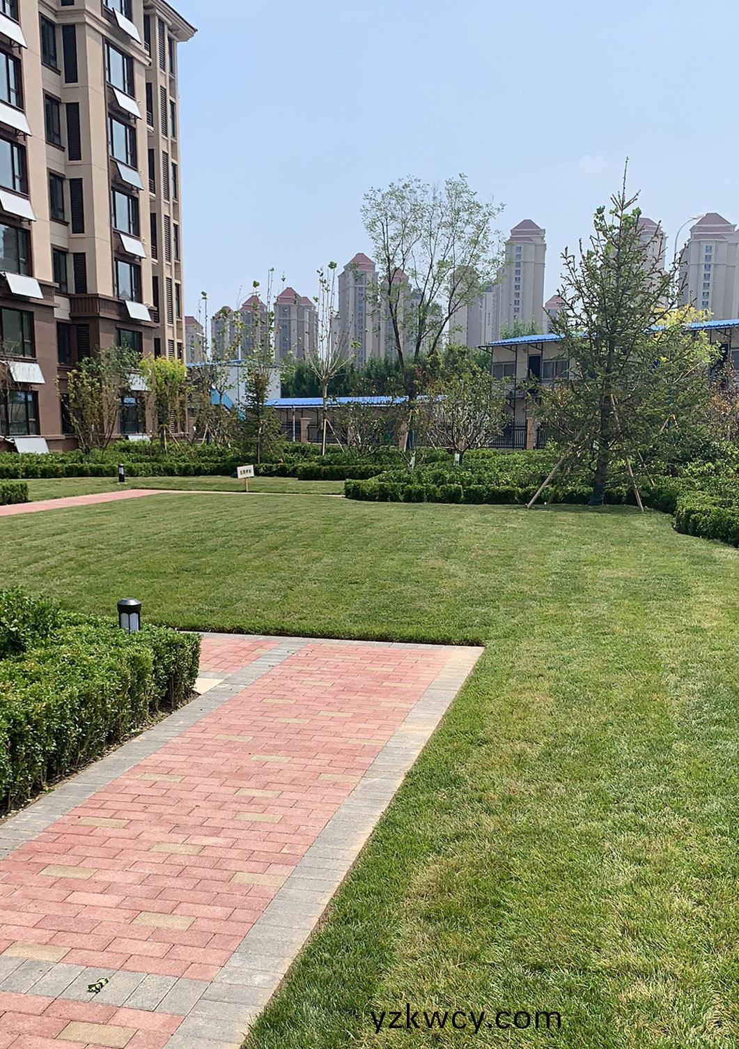 天津津(jin)南項(xiang)目1地(di)塊(kuai)二(er)期(qi)、三(san)期園(yuan)林(lin)景觀項(xiang)目