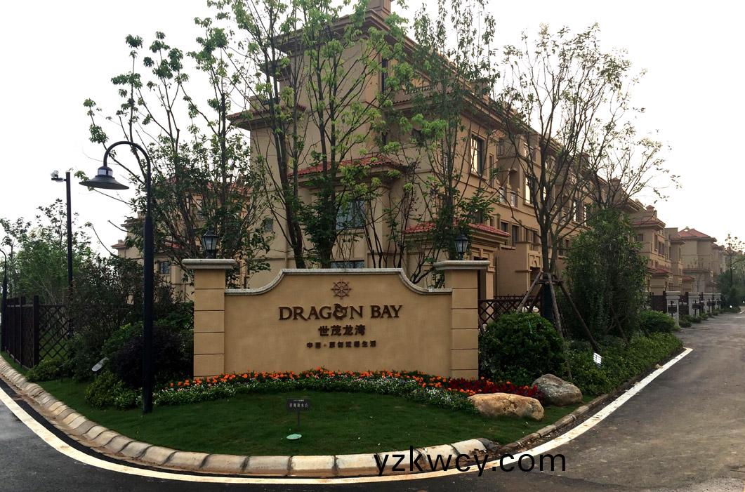 武(wu)漢(han)龍(long)灣(wan)現(xian)場(chang)炤(zhao)片