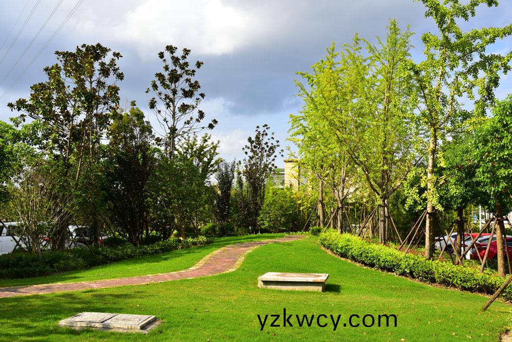 如(ru)東道(dao)愽智能(neng)設(she)備(bei)有(you)限(xian)公(gong)司(si)--綠(lv)化(hua)工(gong)程(cheng)